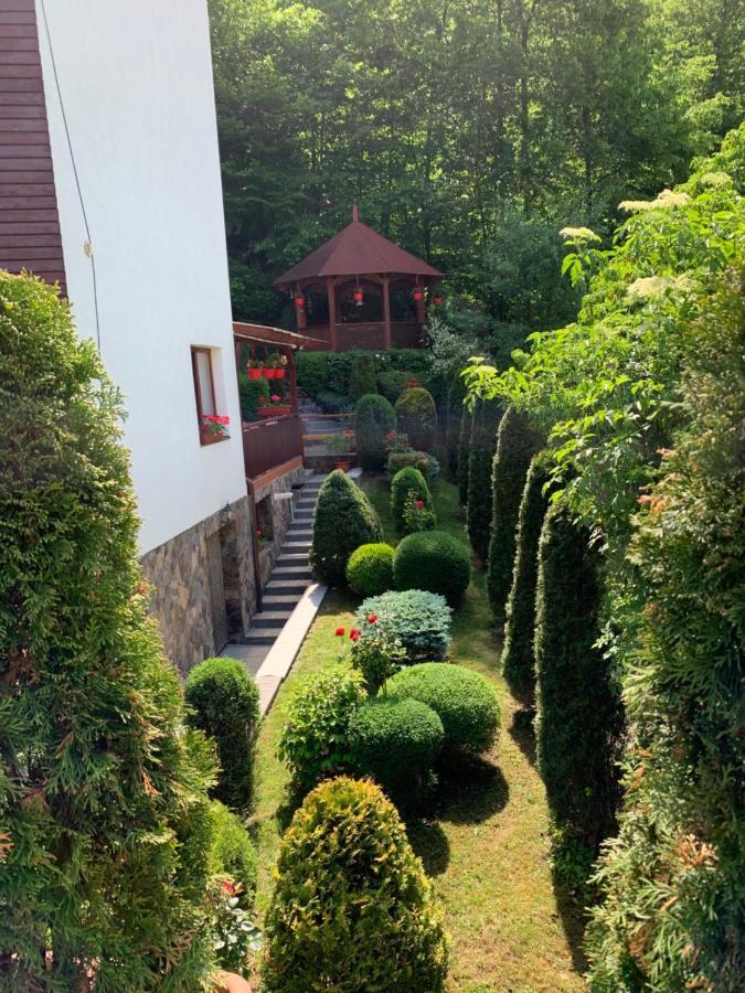 Pensiunea Eva Sovata Exterior foto