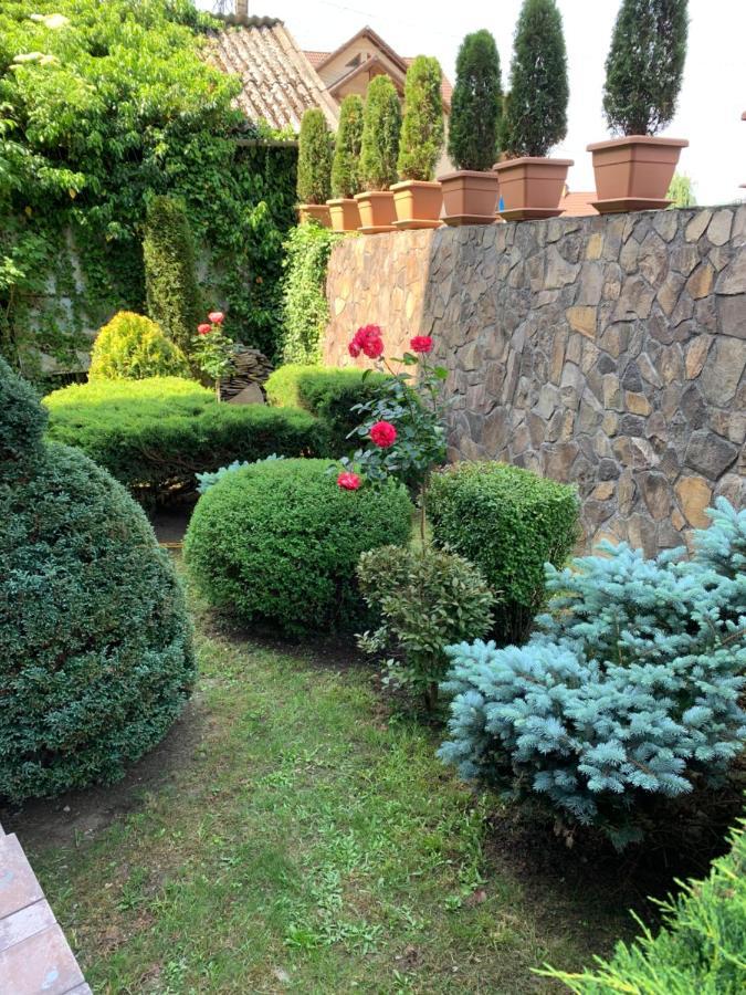 Pensiunea Eva Sovata Exterior foto