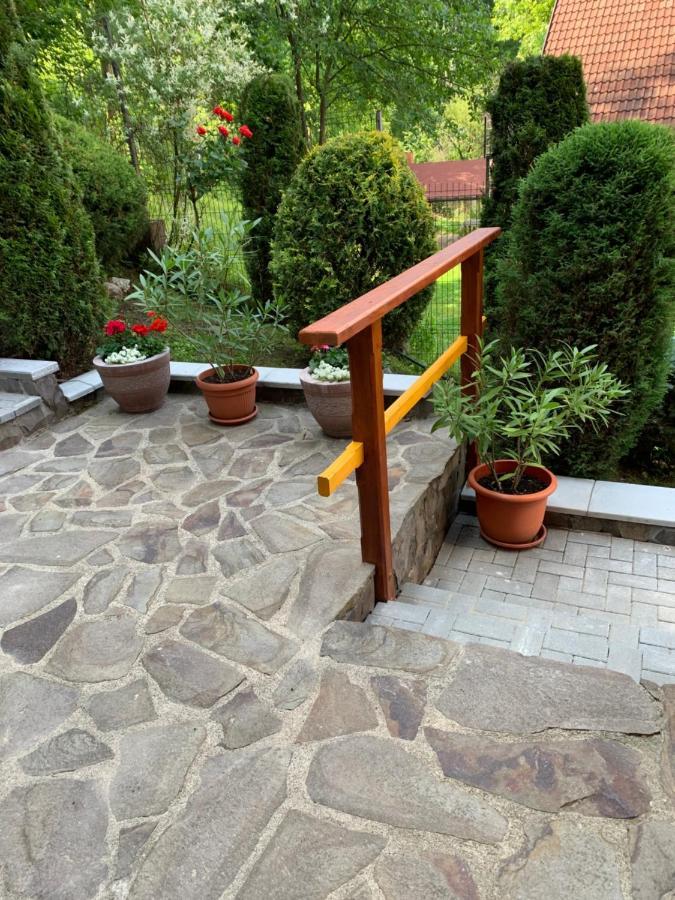 Pensiunea Eva Sovata Exterior foto
