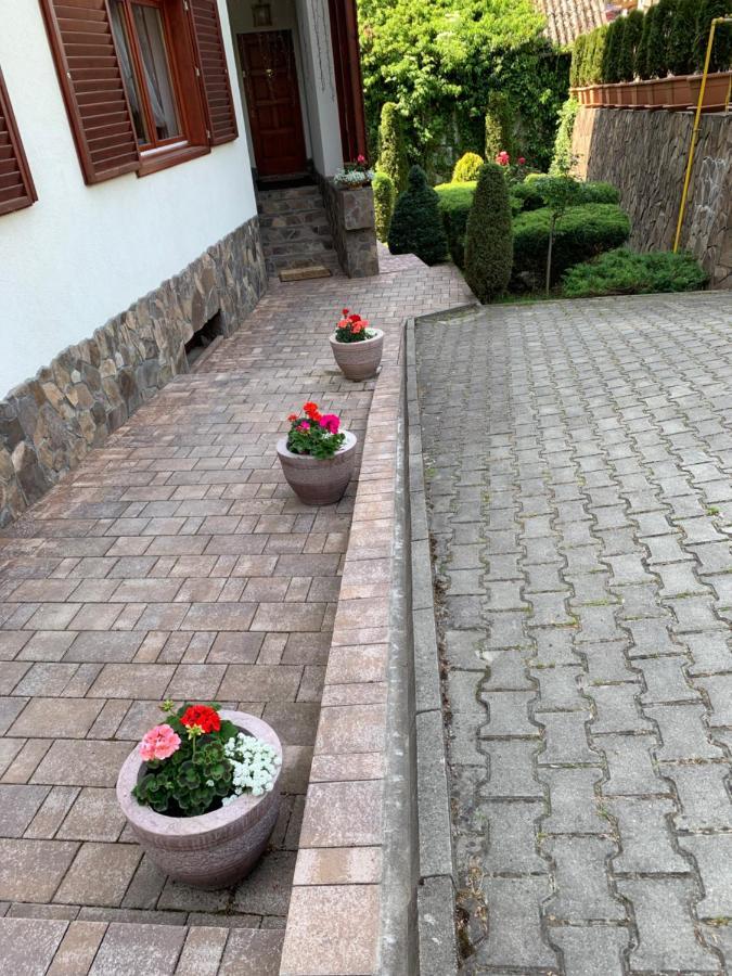 Pensiunea Eva Sovata Exterior foto